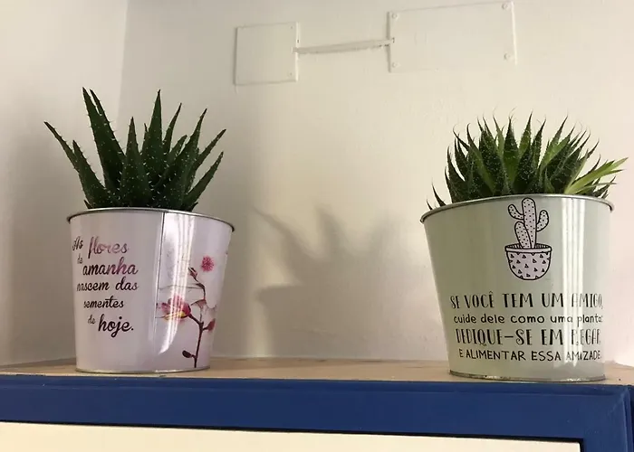 Casa Da Mariquinhas 公寓